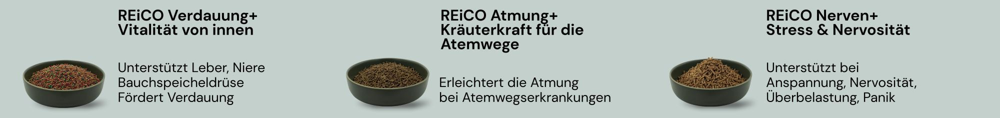reico2