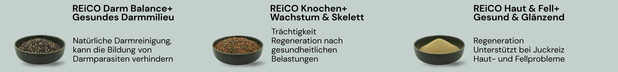 reico3
